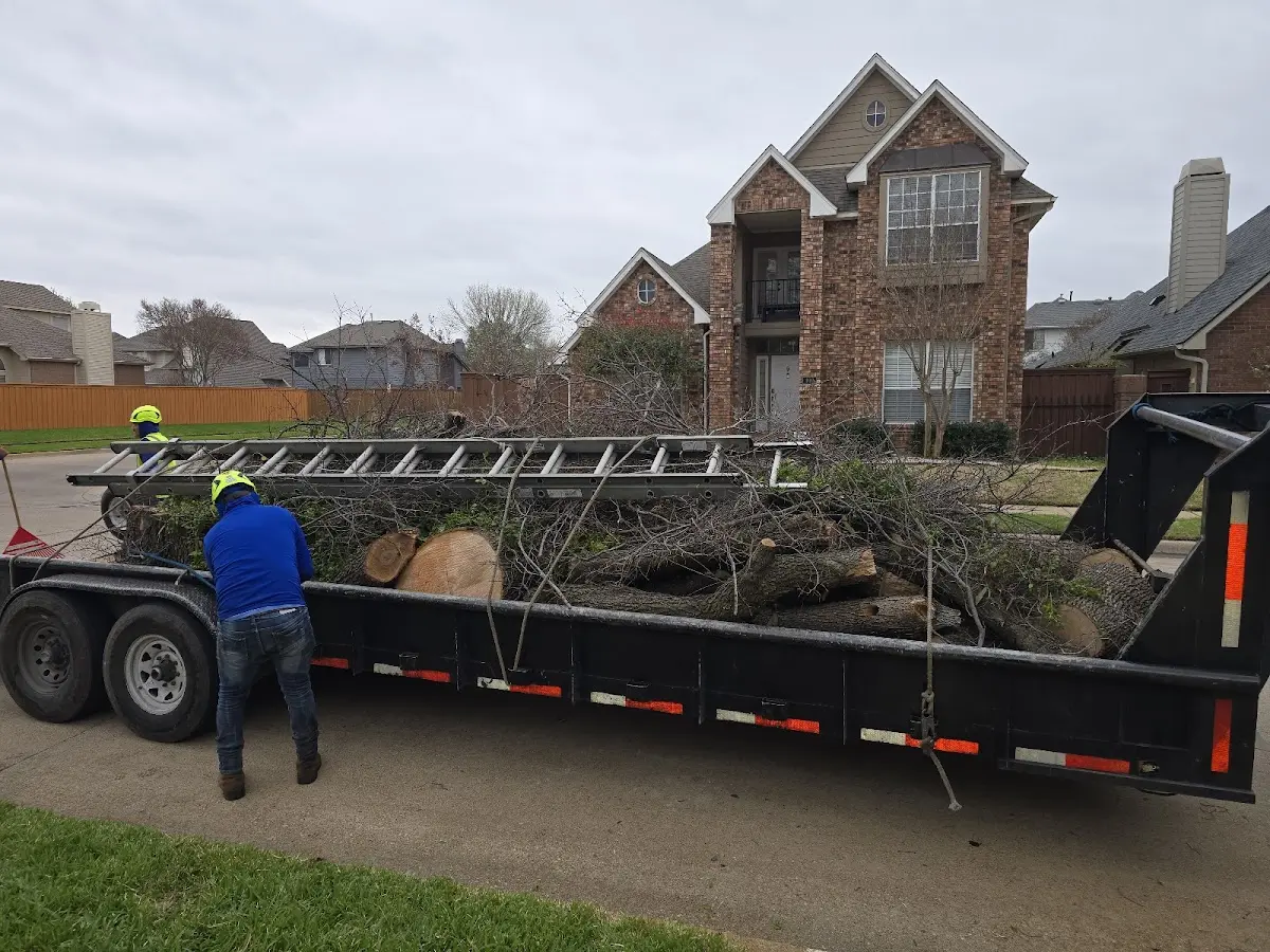 Expert Crown Reduction with proper safety equipment in Koshkonong